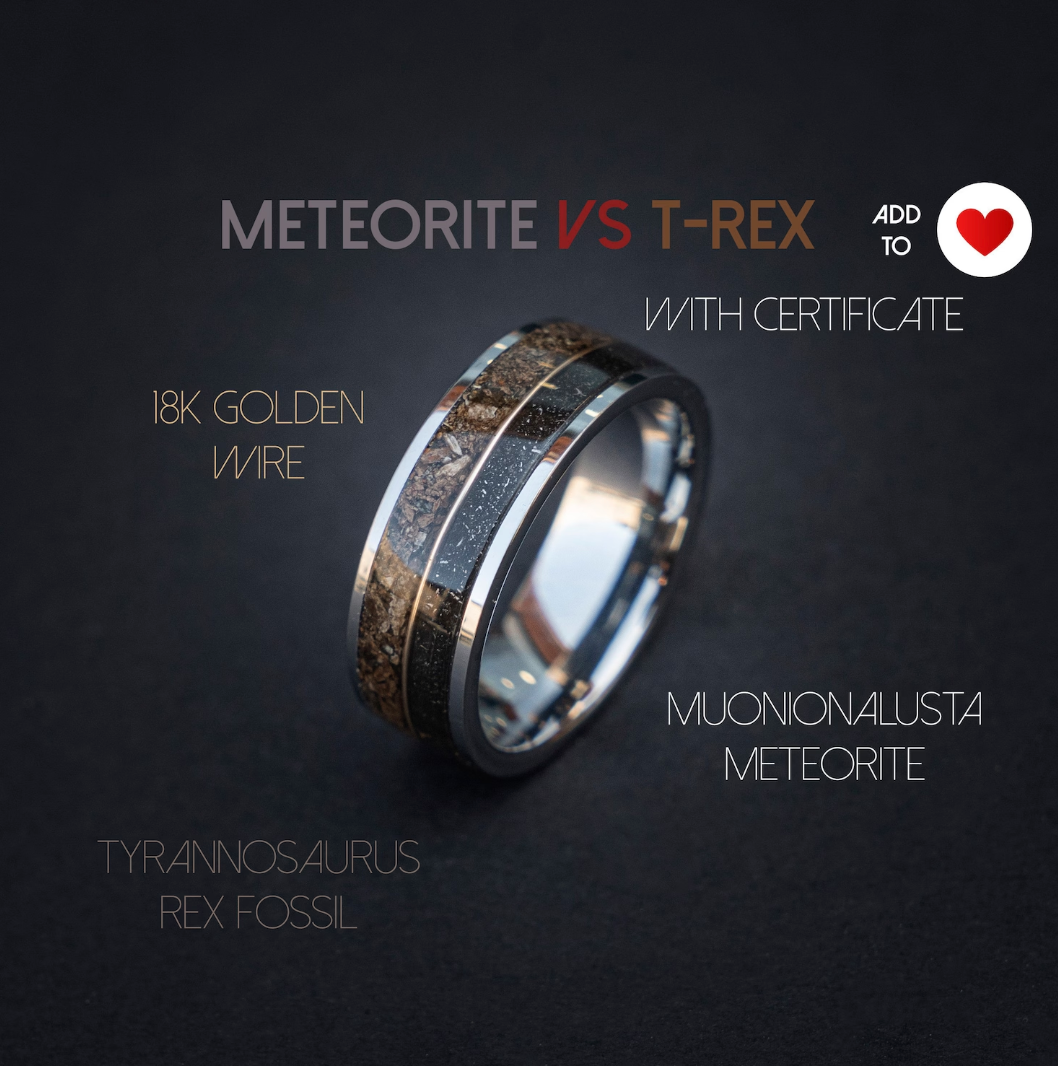 Flat tungsten ring filled with Trex and meteorite divided by 18k golden wire 8 mm for Morgan - Decazi