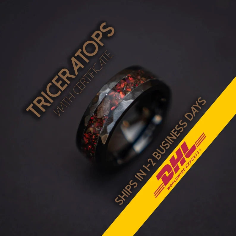 Black Hammered Ceramic Ring With Triceratops Meteorite & Opal