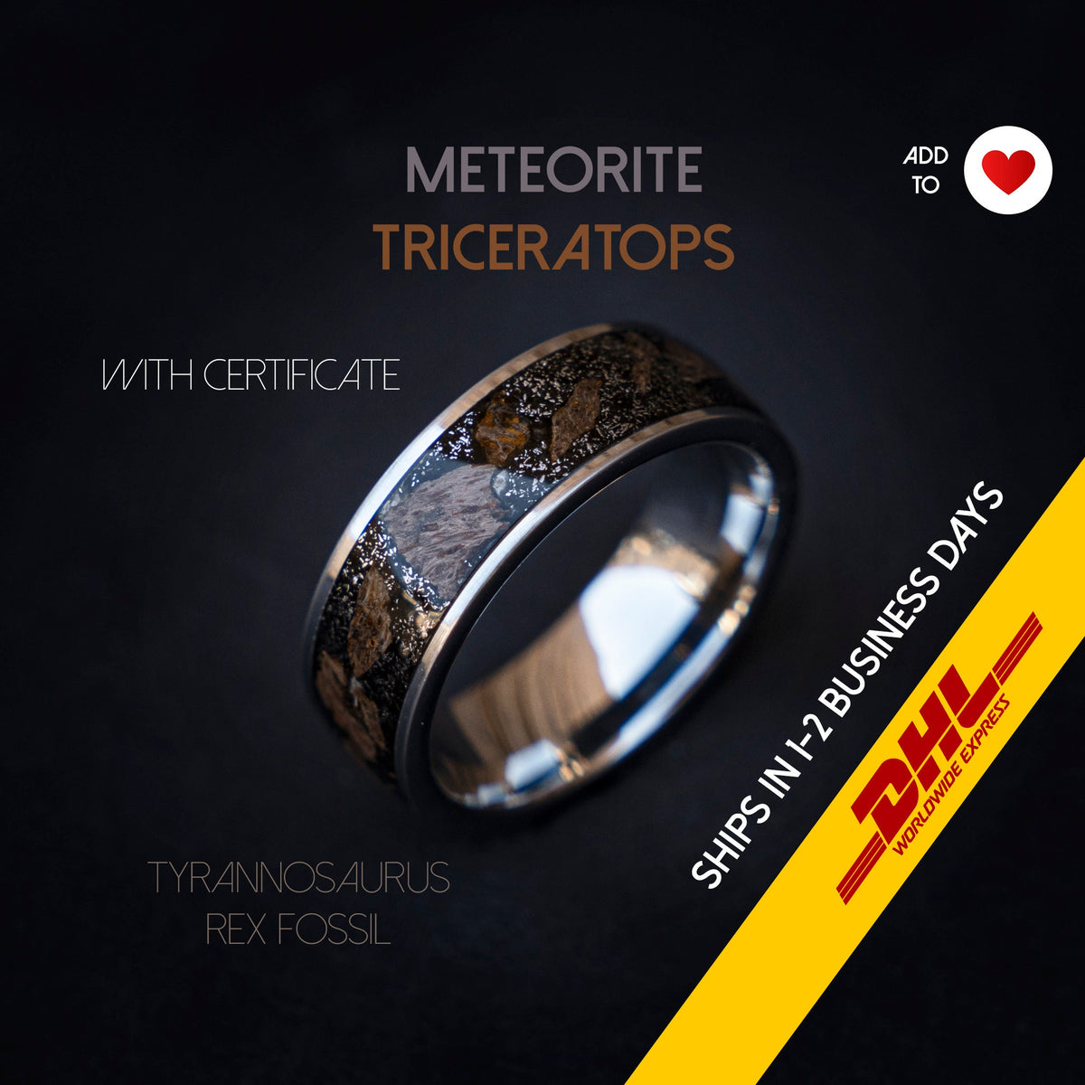 Triceratops meteorite ring, dinosaur bone, mens ring, Triceratops fossil, meteorite ring men, mens wedding band, unique mens ring - Decazi