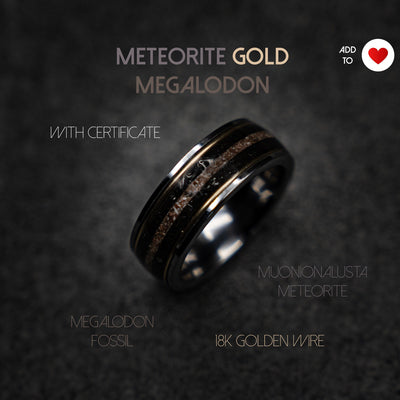 Megalodon Dinosaur bone ring, handmade jewelry, meteorite rings, dinosaur meteorite ring, tungsten wedding band, mens wedding band  | Decazi