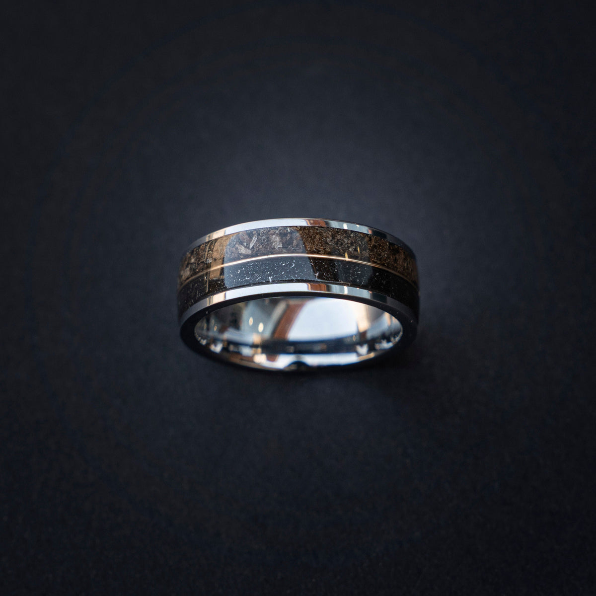 T-rex Dinosaur bone meteorite engagement ring, meteorite ring, mens ring, meteorite ring, dinosaur ring, unique ring, handmade jewelry