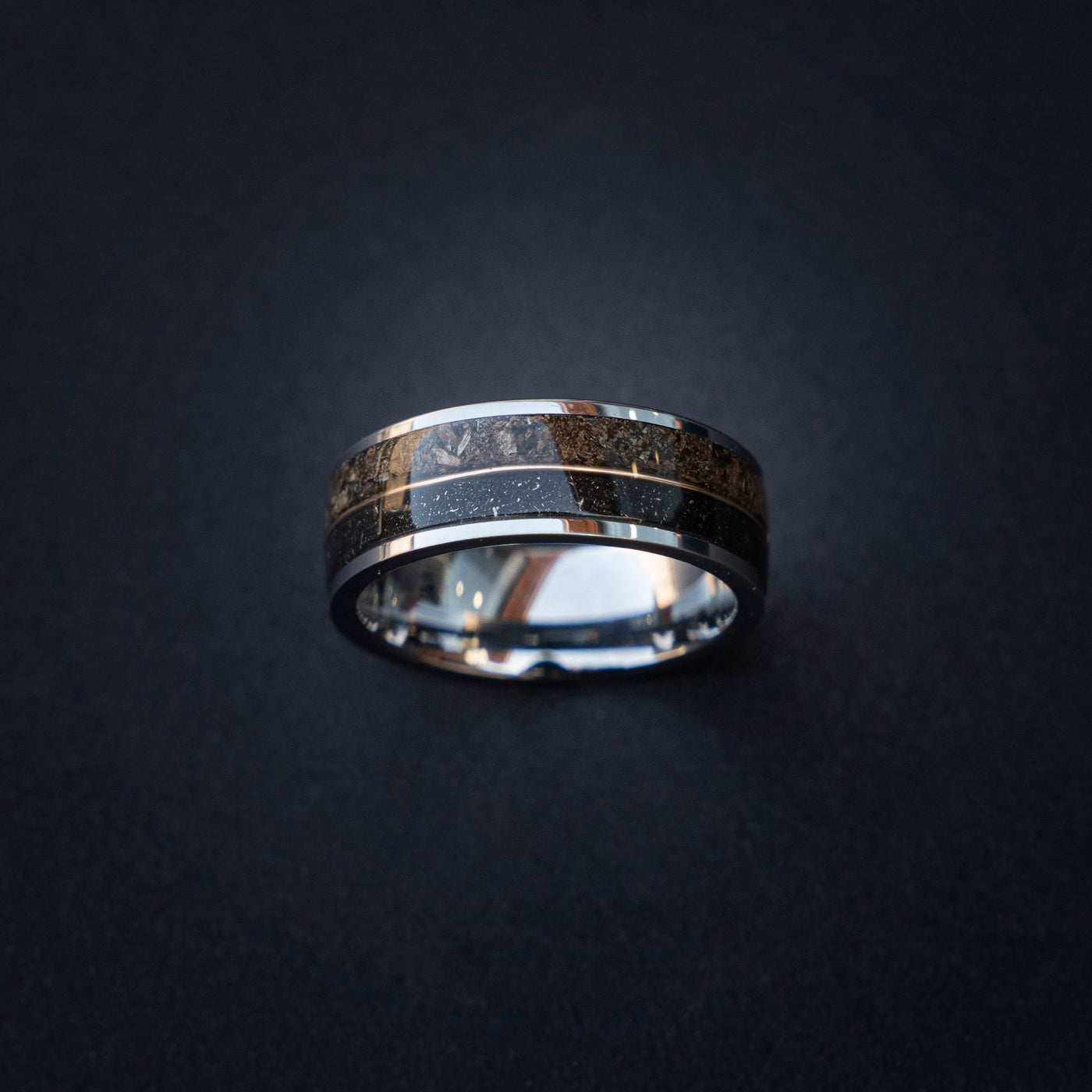 T-rex Dinosaur bone meteorite engagement ring, meteorite ring, mens ring, meteorite ring, dinosaur ring, unique ring, handmade jewelry