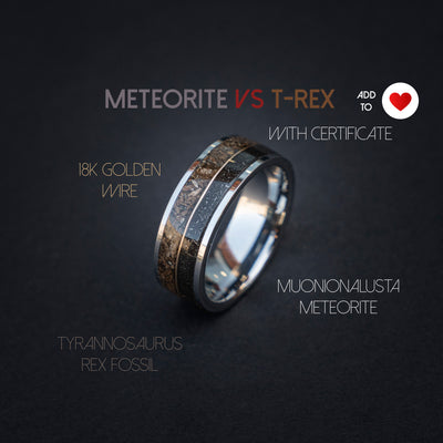T-rex Dinosaur bone meteorite engagement ring, meteorite ring, mens ring, meteorite ring, dinosaur ring, unique ring, handmade jewelry